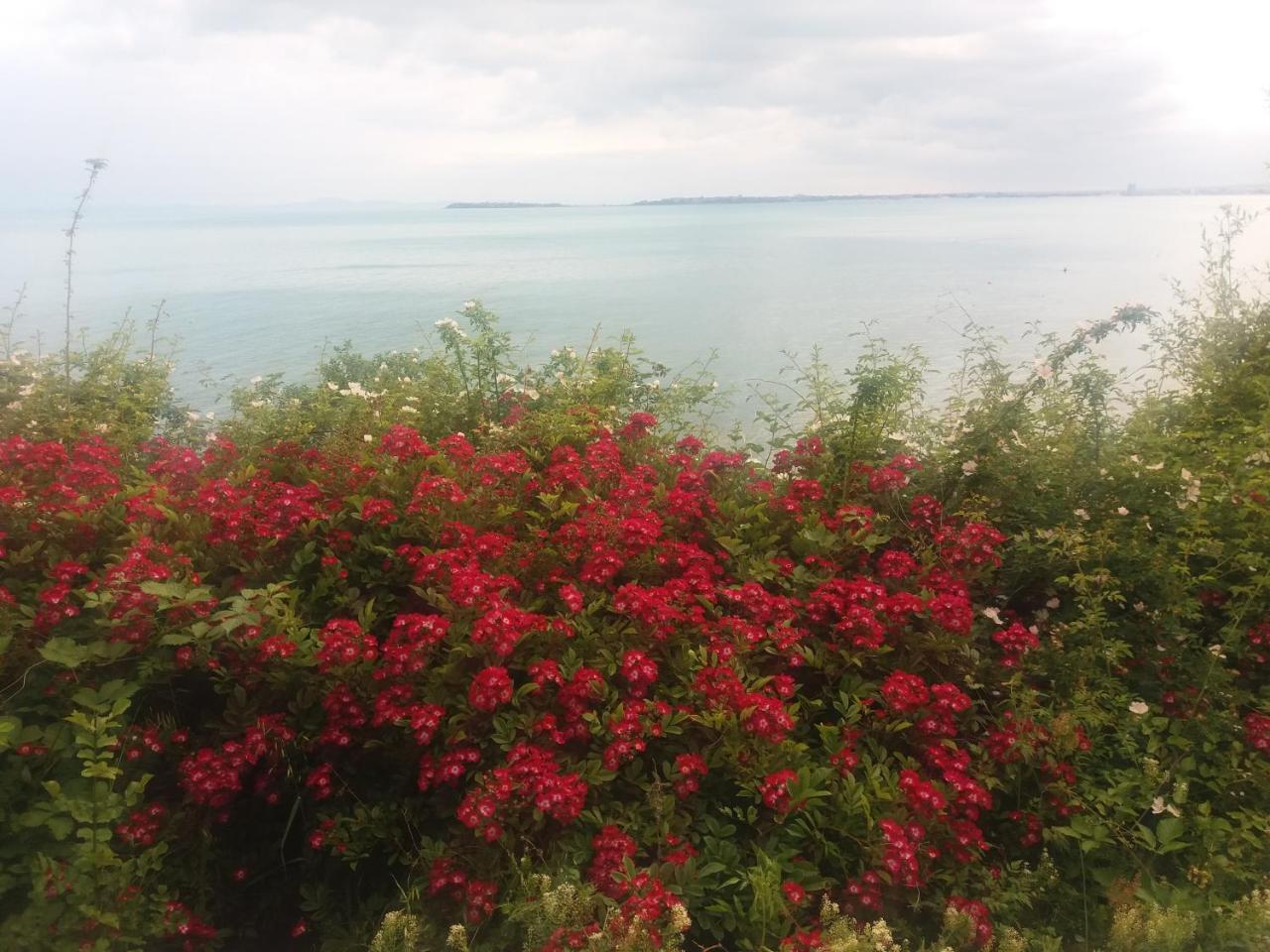 Hotel Sea Vista Sveti Vlas Buitenkant foto